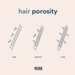 Understanding Hair Porosity: How to Choose the Right Products